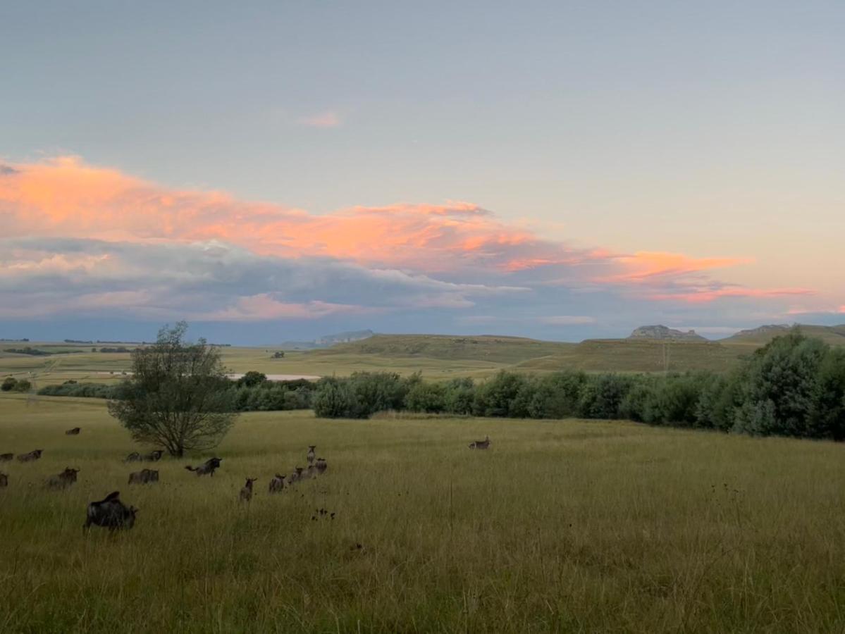 Buffalo Hills Private Game Reserve Harrismith Luaran gambar
