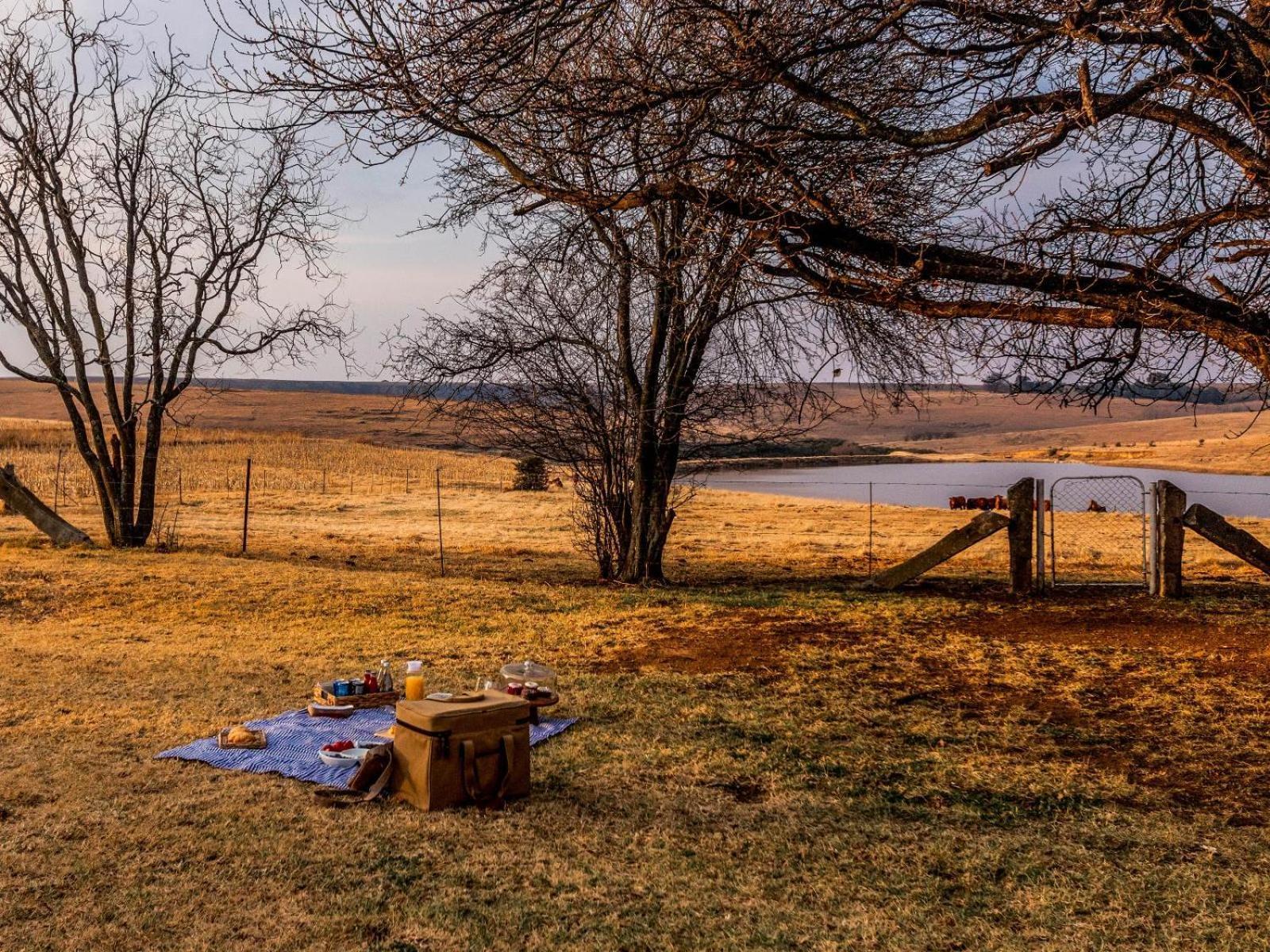 Buffalo Hills Private Game Reserve Harrismith Bilik gambar